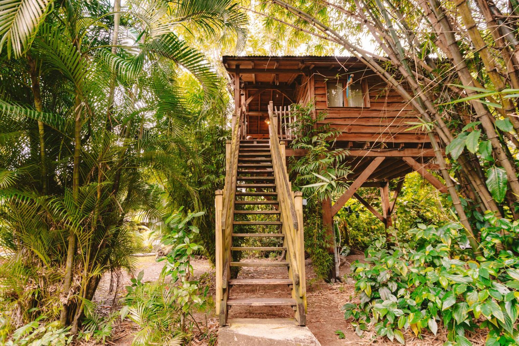 West Indies Cottage Pointe-Noire Buitenkant foto