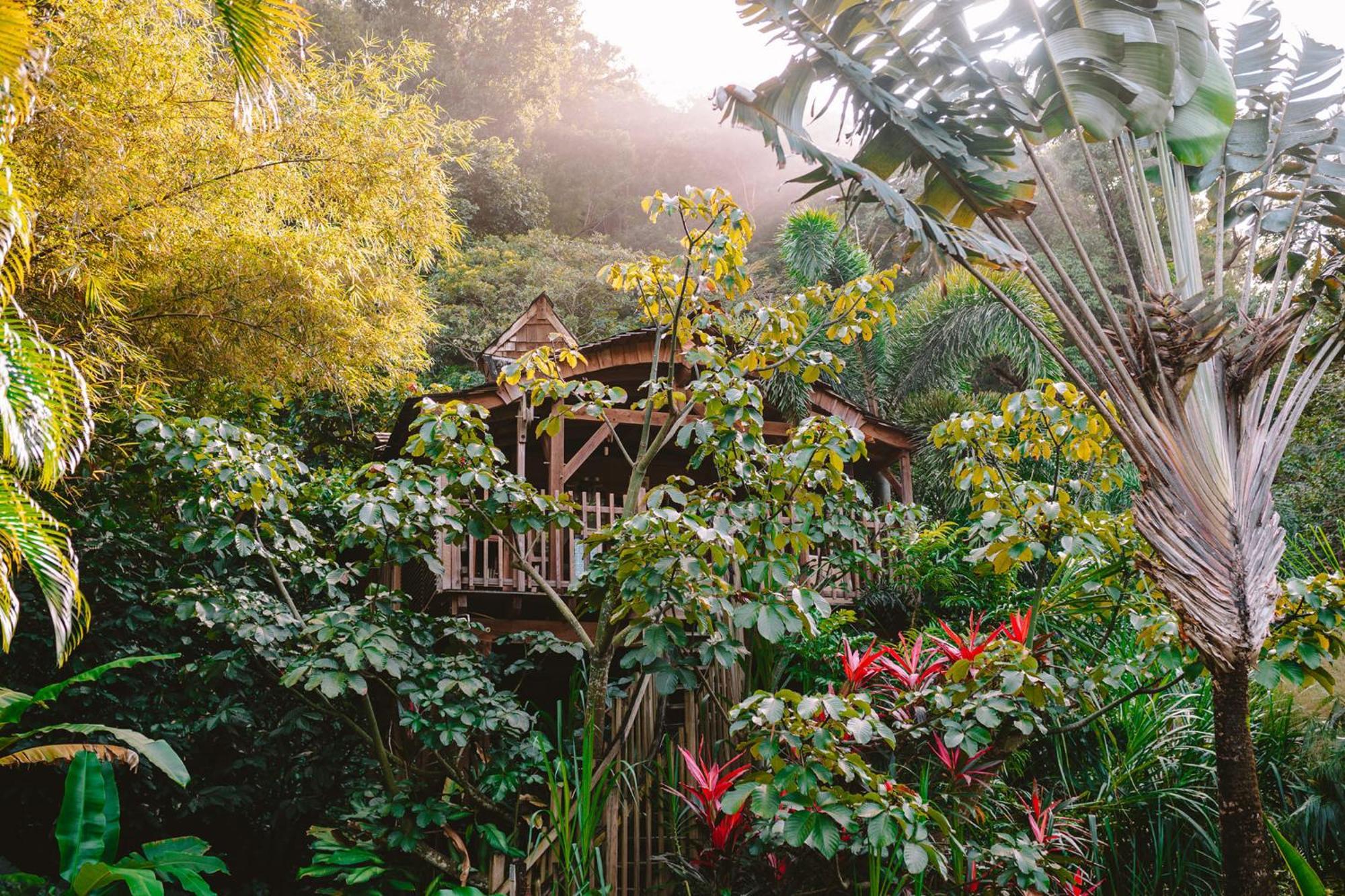 West Indies Cottage Pointe-Noire Buitenkant foto