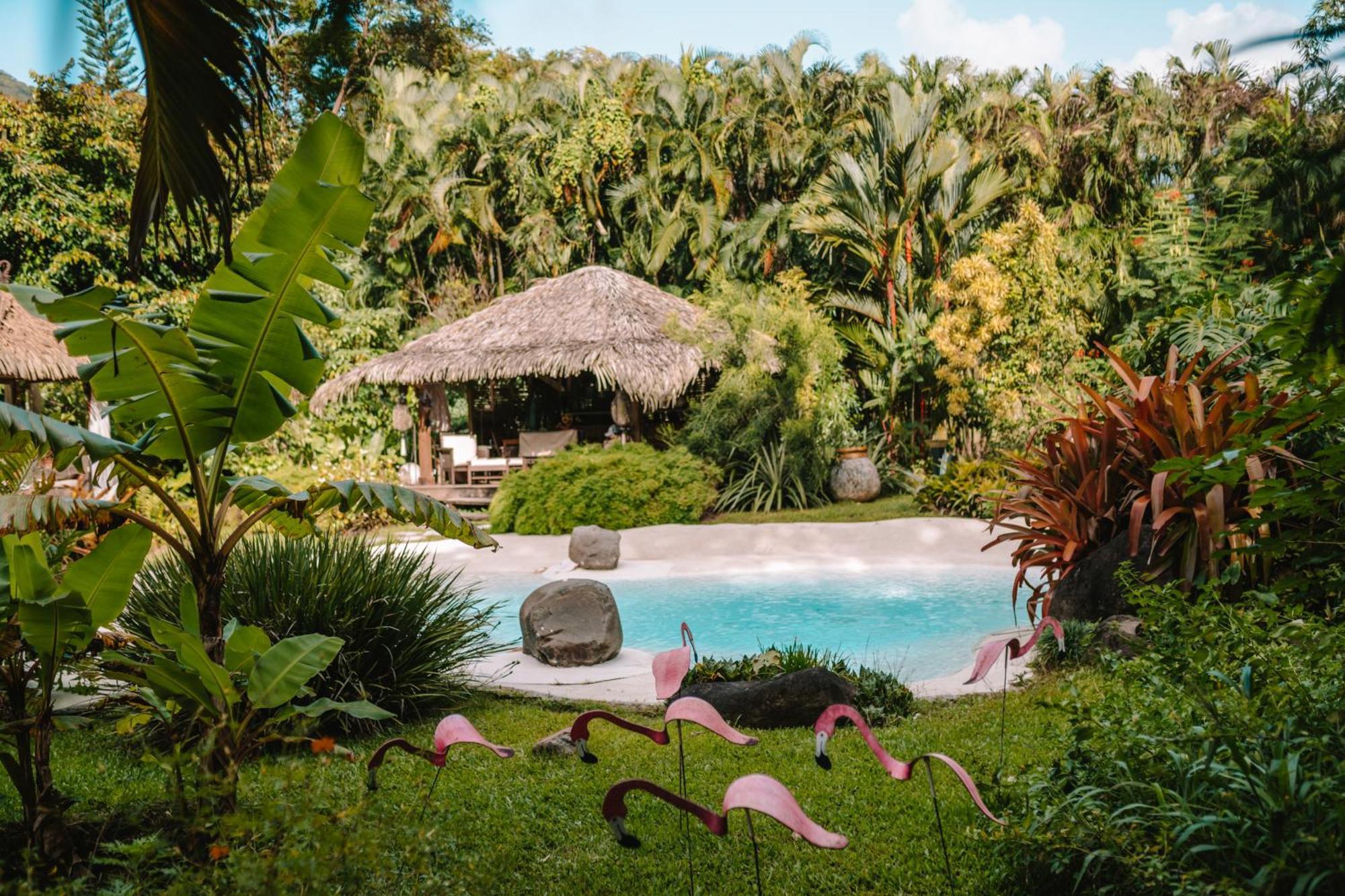 West Indies Cottage Pointe-Noire Buitenkant foto