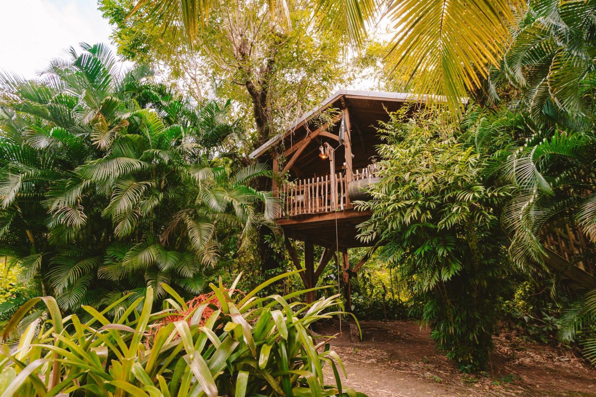 West Indies Cottage Pointe-Noire Buitenkant foto